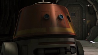 sw (48)