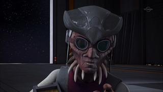 sw (40)