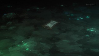 cap (241)