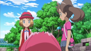 xy (29)