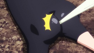cap (47)