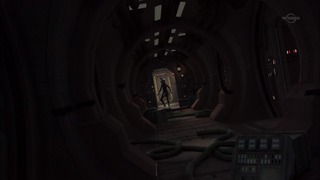 sw (23)
