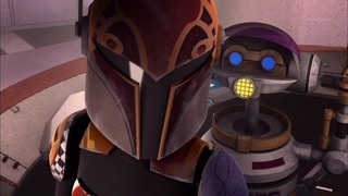 sw (19)