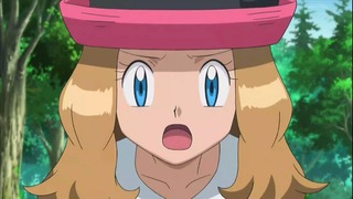 xy49 (8)