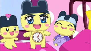 tama (30)