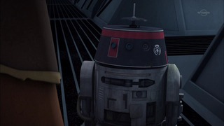 sw (30)