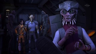 sw (49)