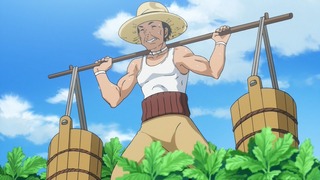 cap (33)