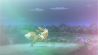 xy (157)