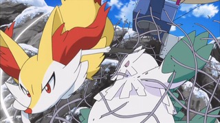 xy (152)