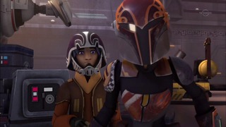 sw (11)