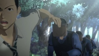 cap (107)