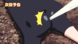 cap (253)