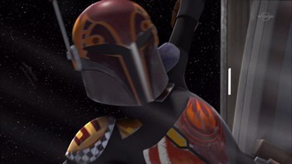sw (29)