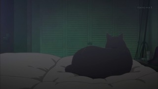 ne (27)