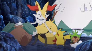 xy (117)