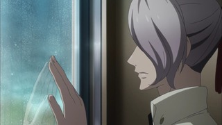 cap (13)
