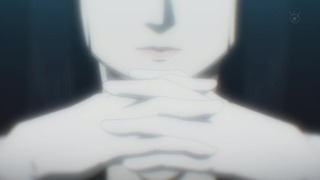 cap (133)