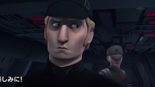 sw (37)