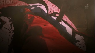 cap (240)