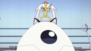 cap (21)