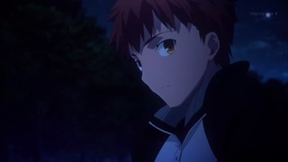 fate14 (122)
