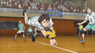 cap (231)