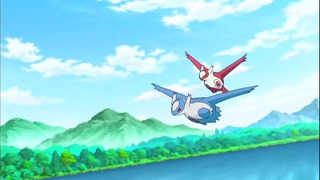 xy49 (190)