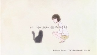 ne (53)