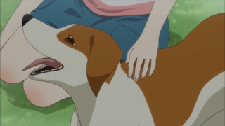 cap (17)