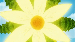 zimage00094-50