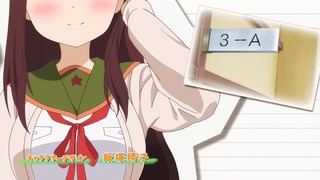 cap (26)