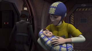 sw (2)
