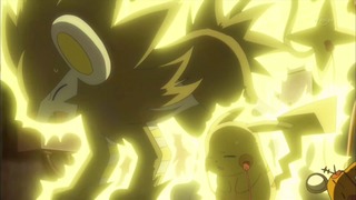 xy (118)