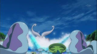 xy (106)