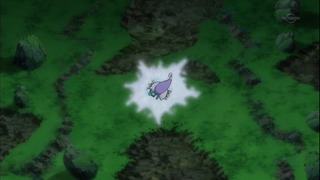 xy (104)