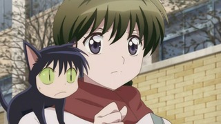 rin-136
