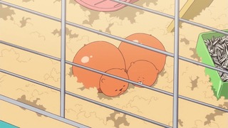 cap (151)