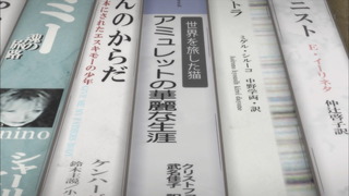 cap (13)