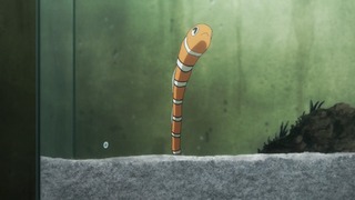 cap (105)