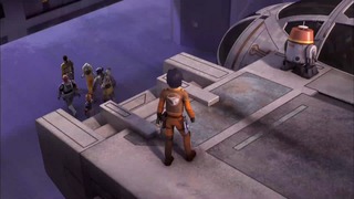 sw (7)