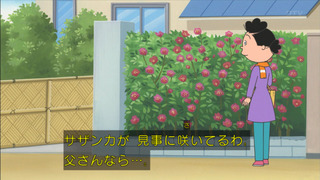 sazae-72