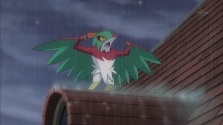 xy (43)