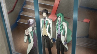 cap (14)