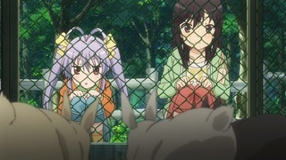 cap (9)