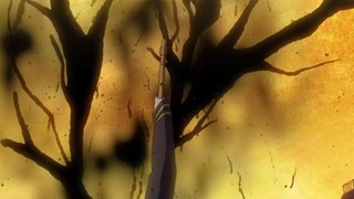 cap (24)