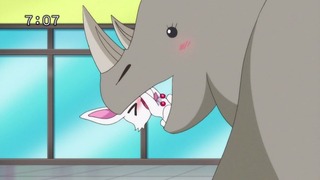 cap (56)