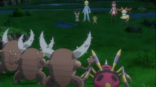 xy (32)