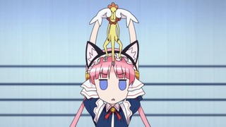 cap (22)