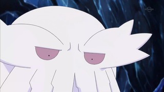 xy (80)